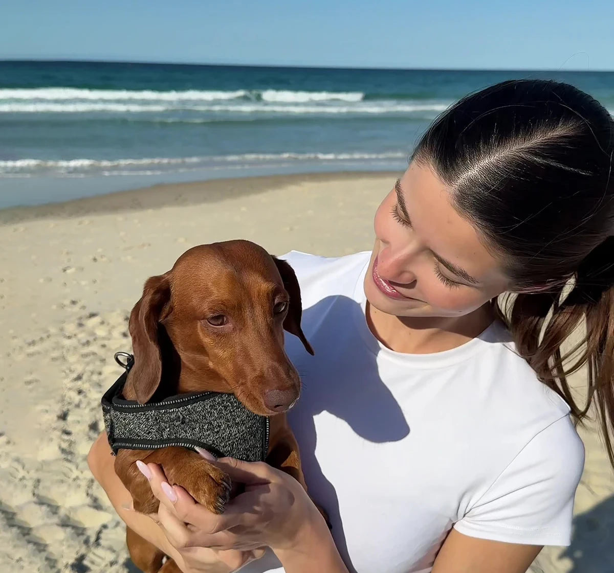 Describes the appearance of the image