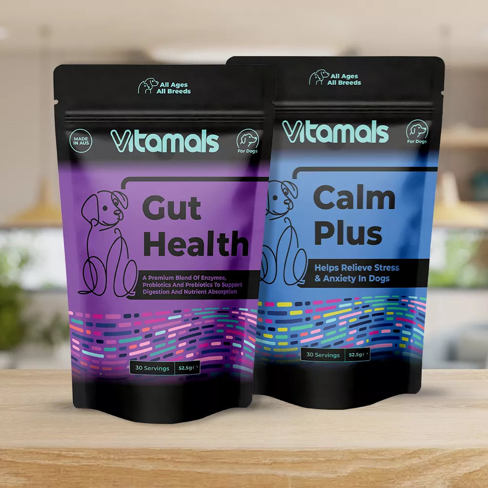 Illustration of Puppy Gut Health And Wellness Products