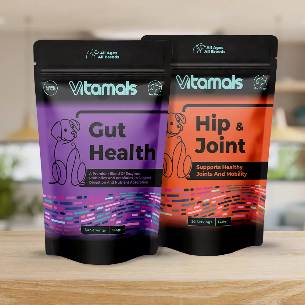 Gut Health & Hip & Joint Bundle