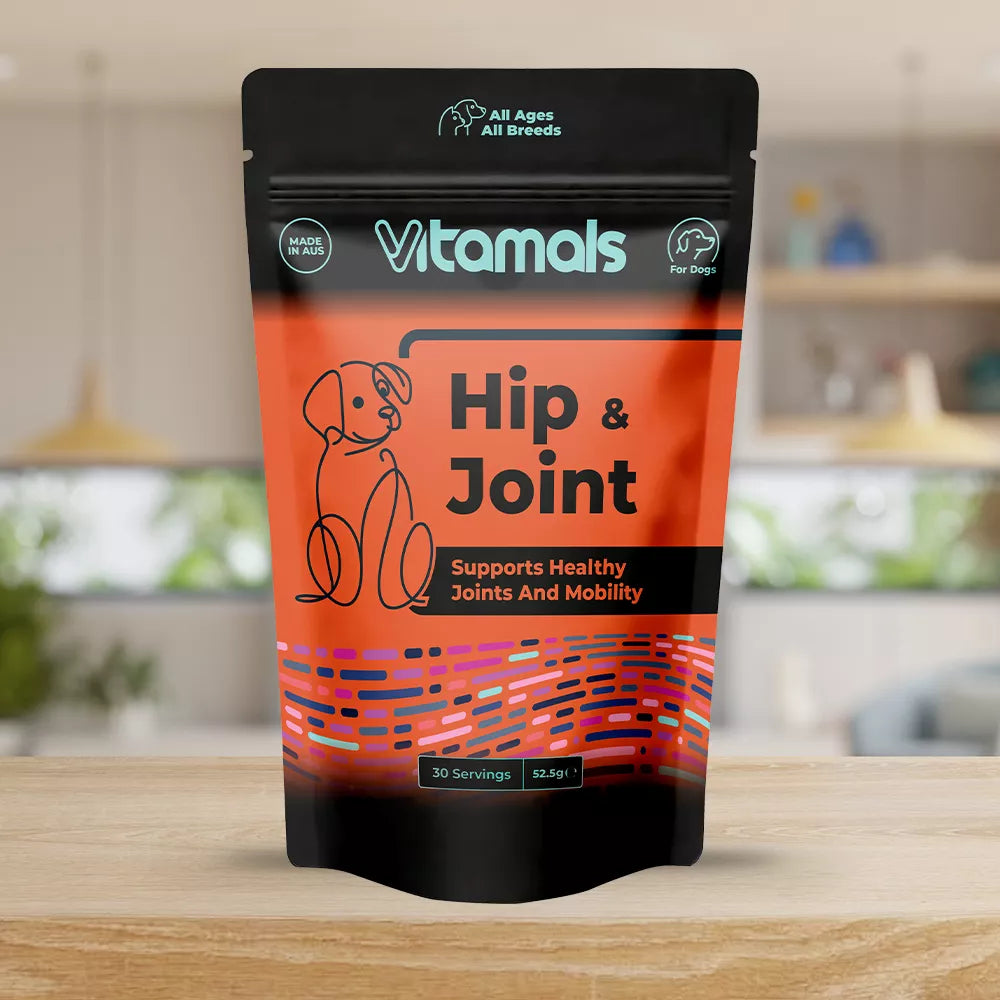 Beautiful view of Canine Nutrition For Joint And Hip Health