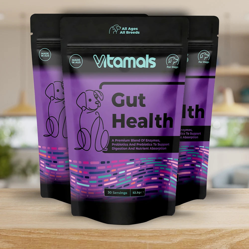 Gut Health 3-Pack – Vitamals | Pet Health Supplements