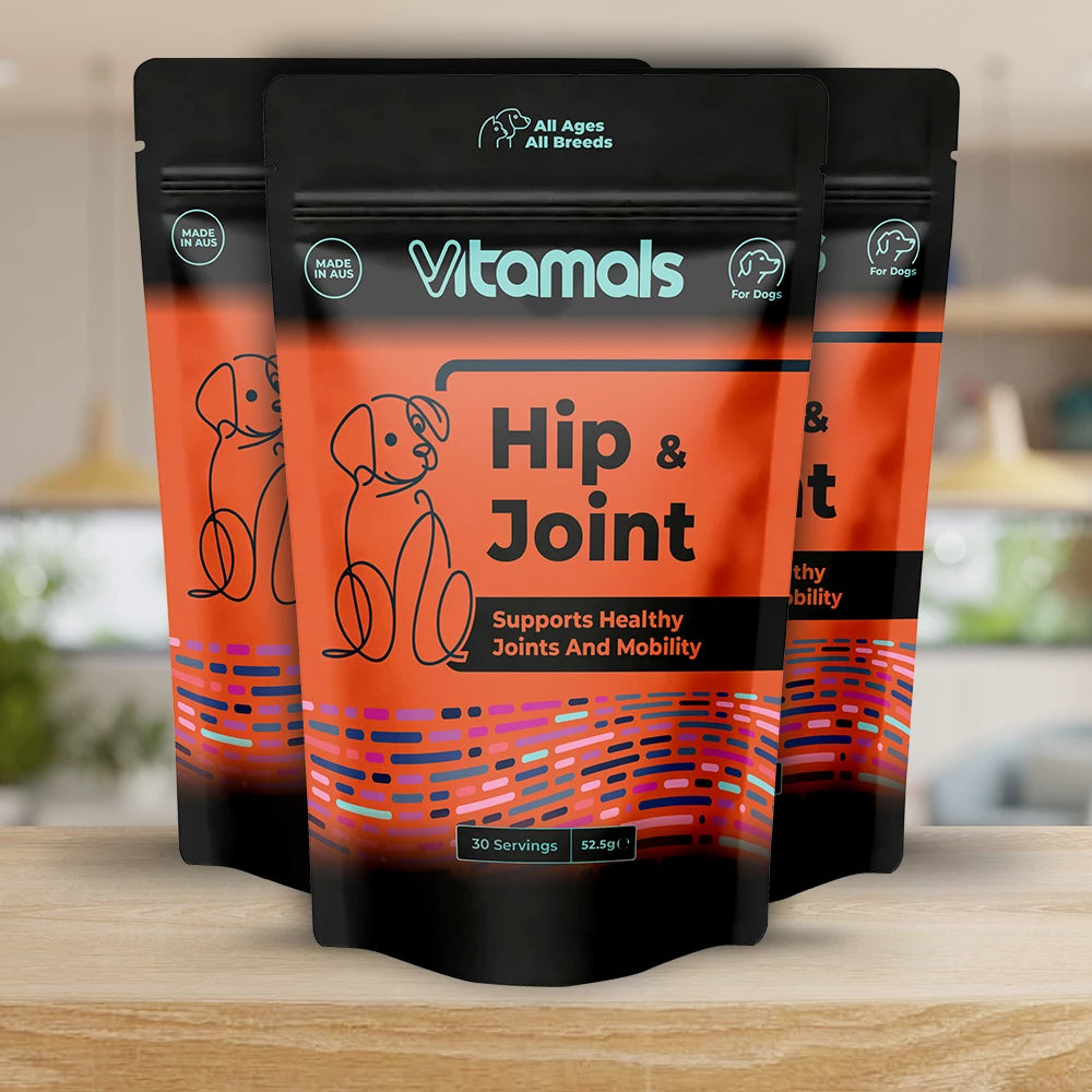 Hip & Joint 3-Pack