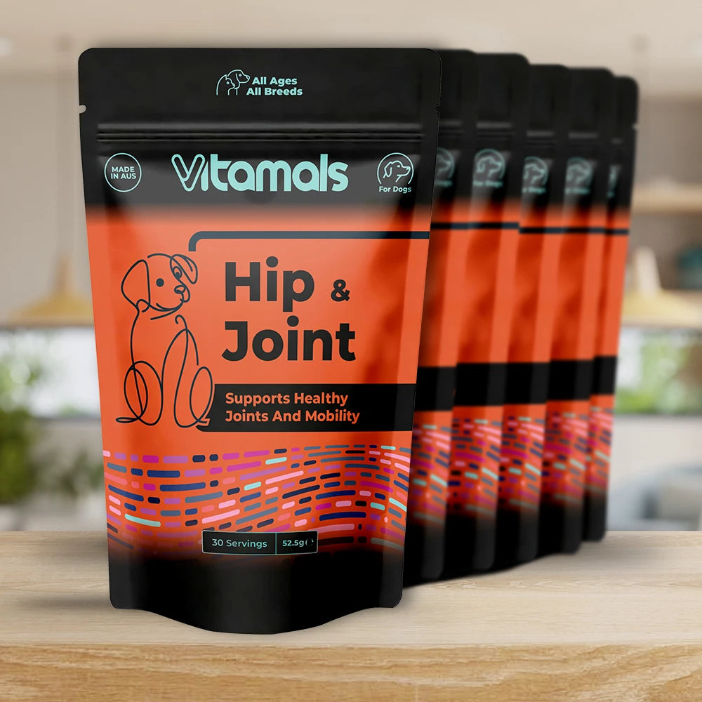 Hip & Joint 6-Pack