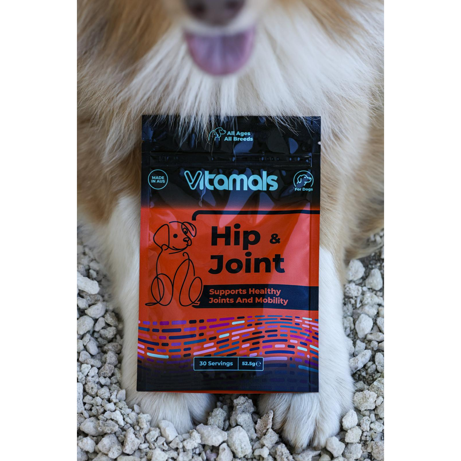 Dog Hip & Joint