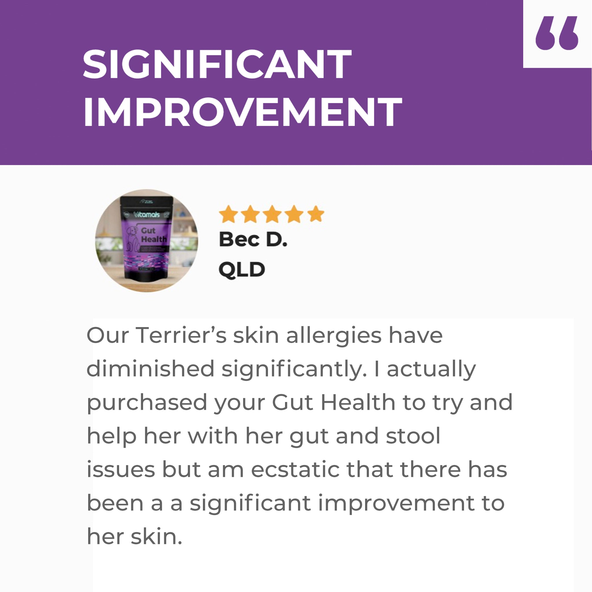 Dog Gut Health & Probiotic