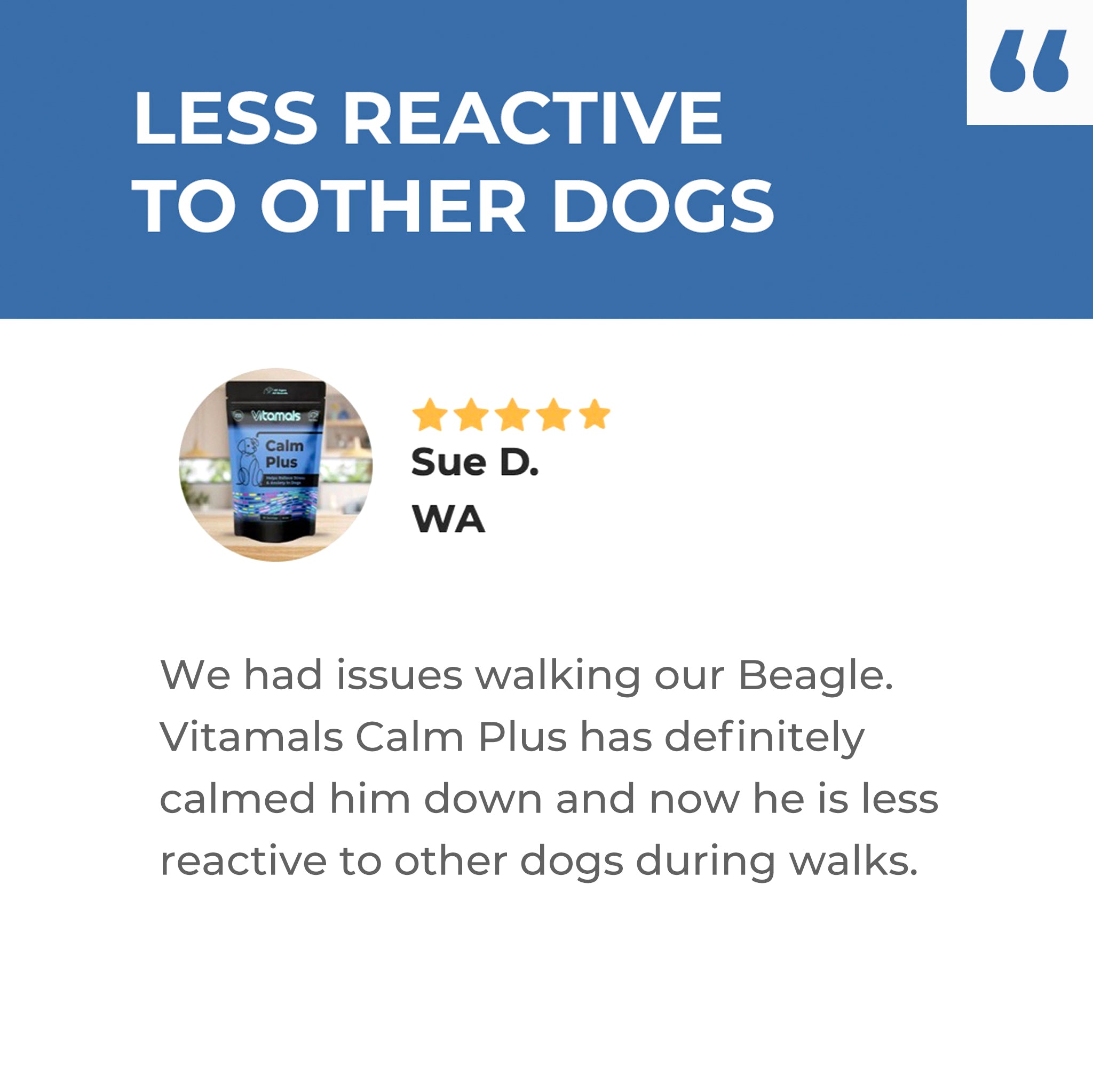 Dog Calm Plus