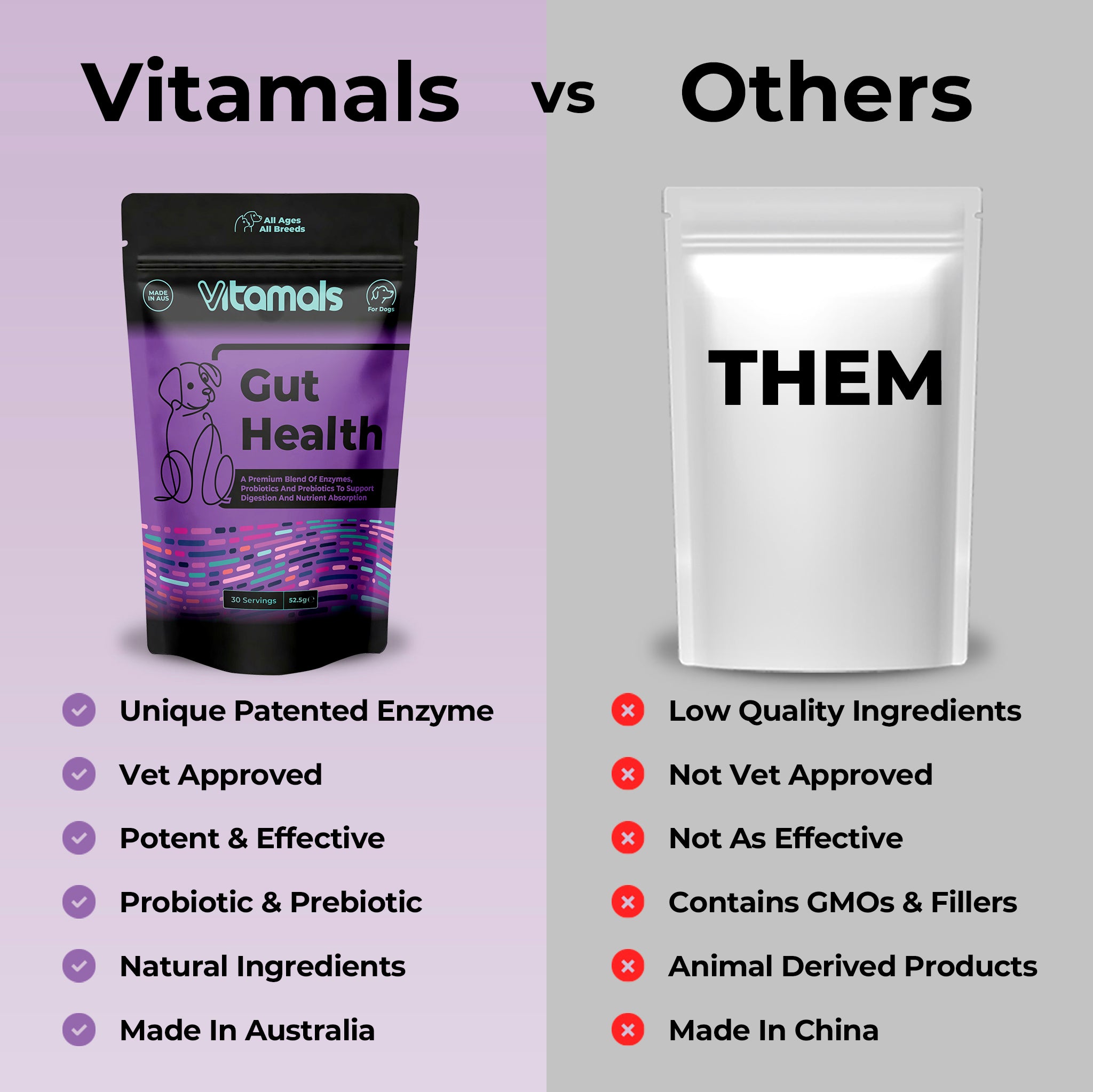 Dog Gut Health & Probiotic